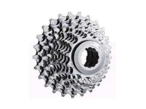 koloneto-279646
