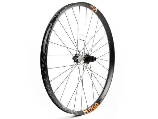 koloneto-283762