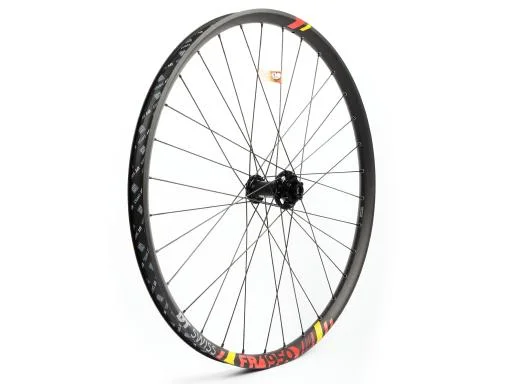 koloneto-285263