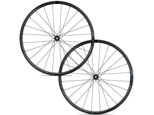 koloneto-294414