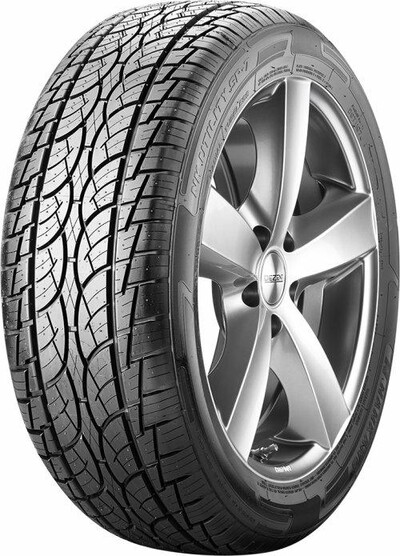 pneuboss1-311705